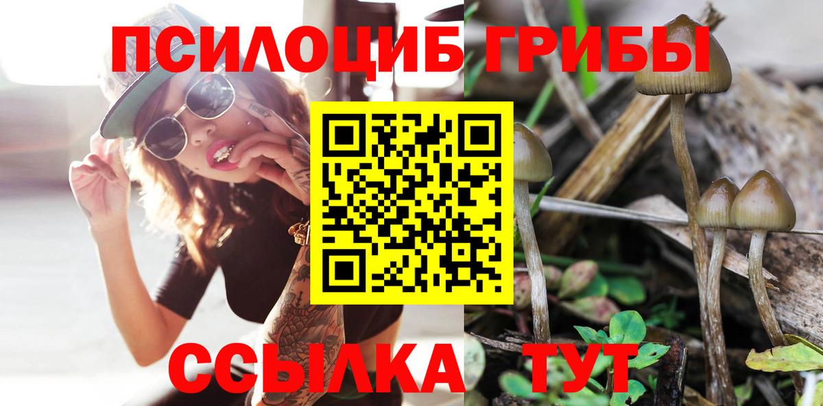 Псилоцибиновые грибы Psilocybine cubensis Валуйки