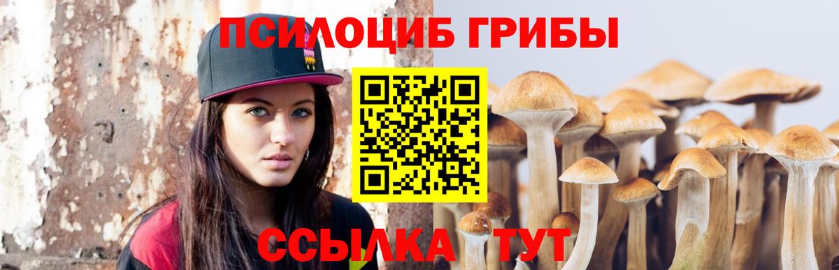 купить наркотики цена  Галлюциногенные грибы мухоморы  Вход с VPN  Валуйки 